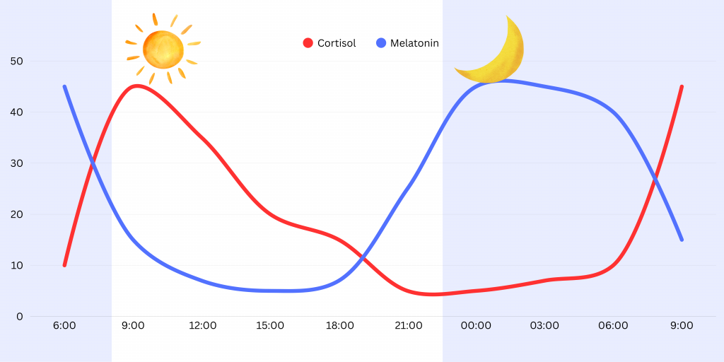 Ein Diagramm das zeigt, dass Melatonin tagsüber sinkt und abends steigt, gleichzeitig tagsüber Cortisol tagsüber ansteigt und abends absinkt