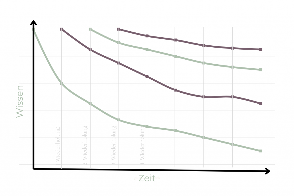 Je öfter man Gelerntes wiederholt, desto flacher fällt die Erinnerungskurve